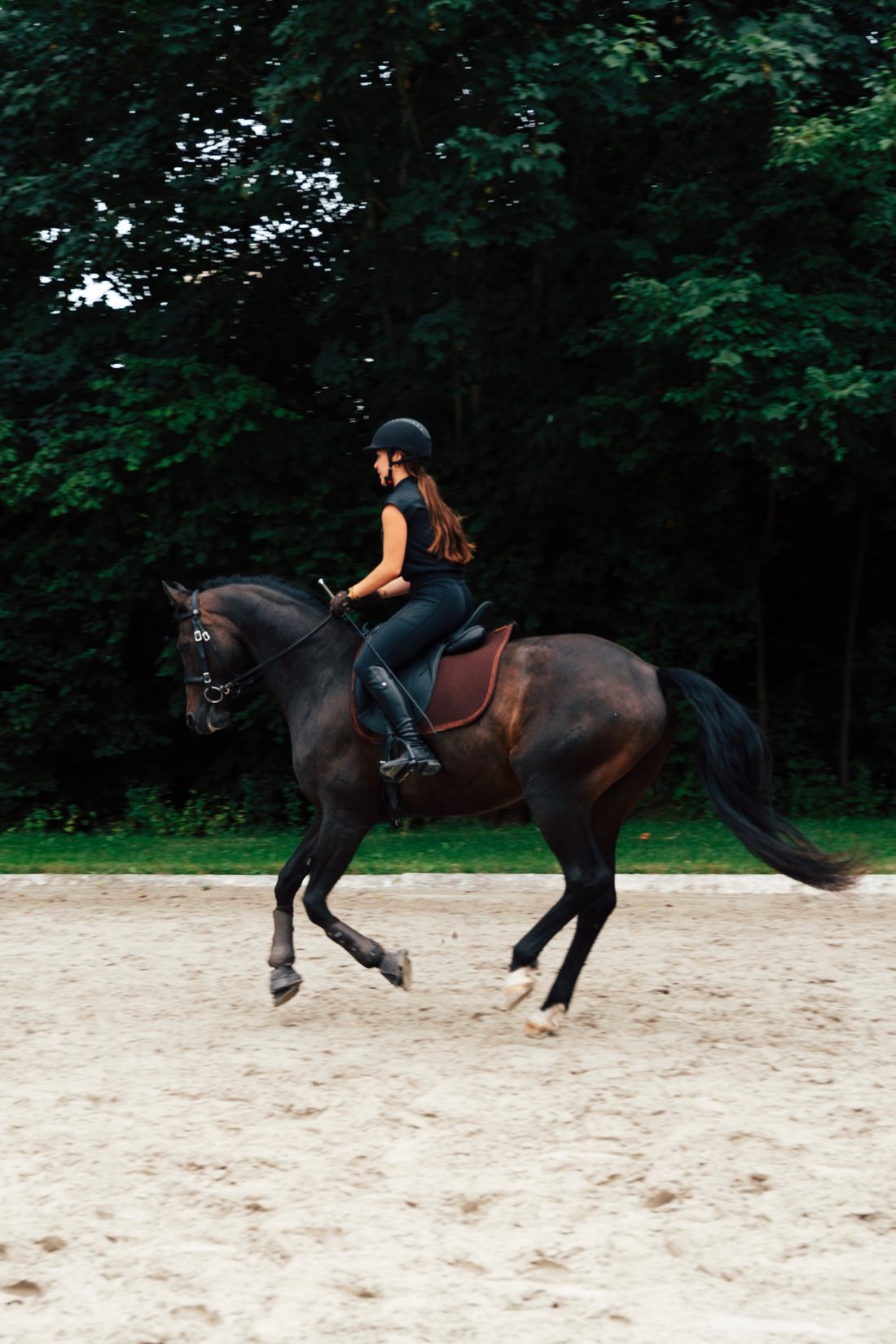 Reiterin im Galopp auf einem dunklen Pferd